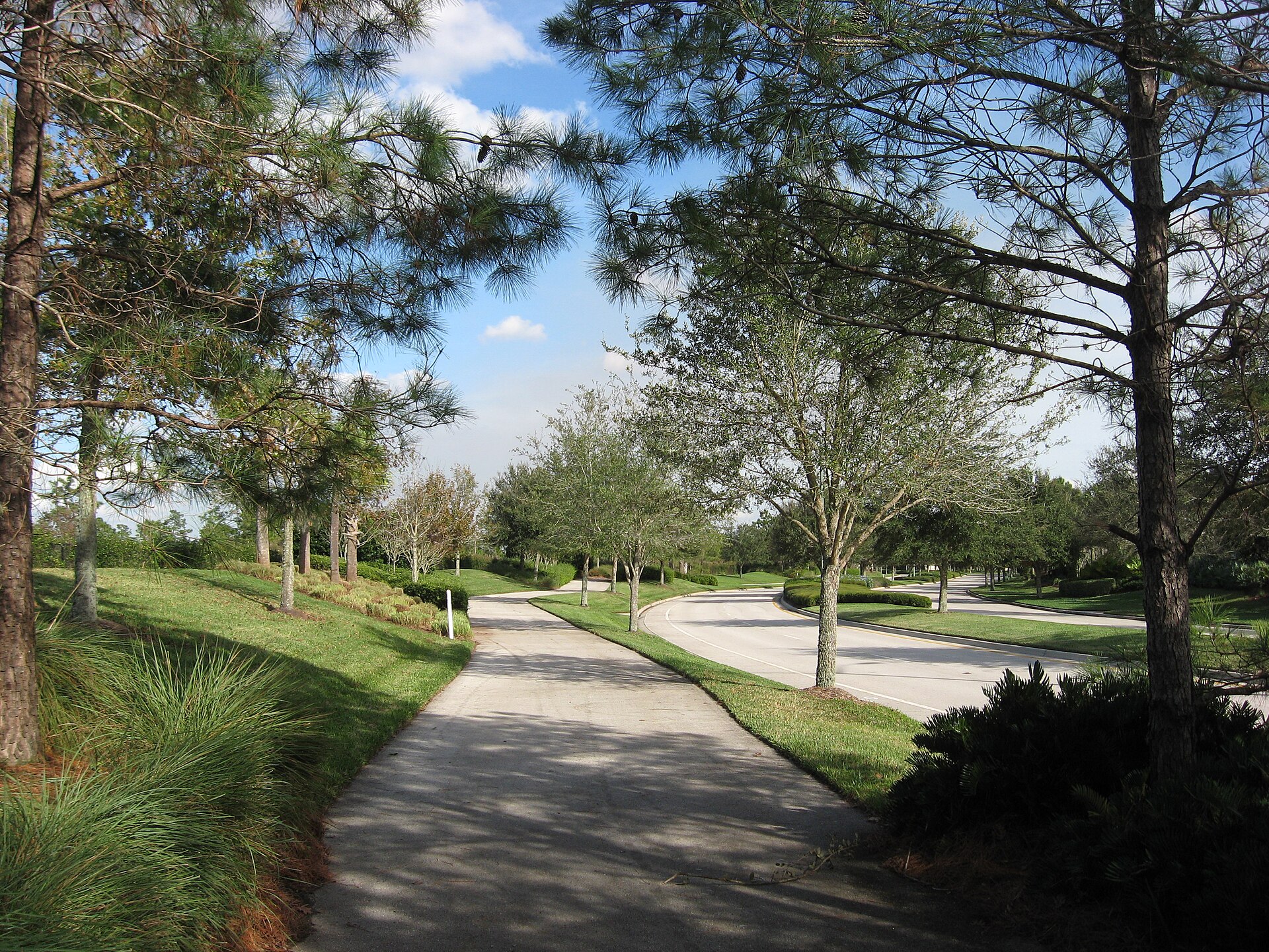 Lake Nona active community